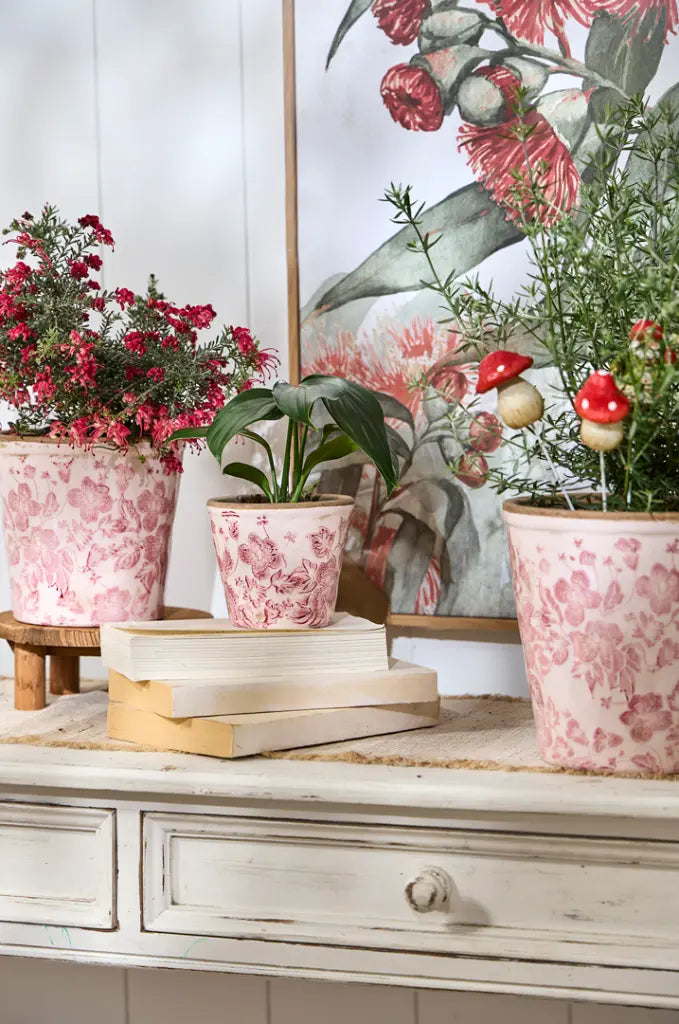 Provincial Fleurs Pots