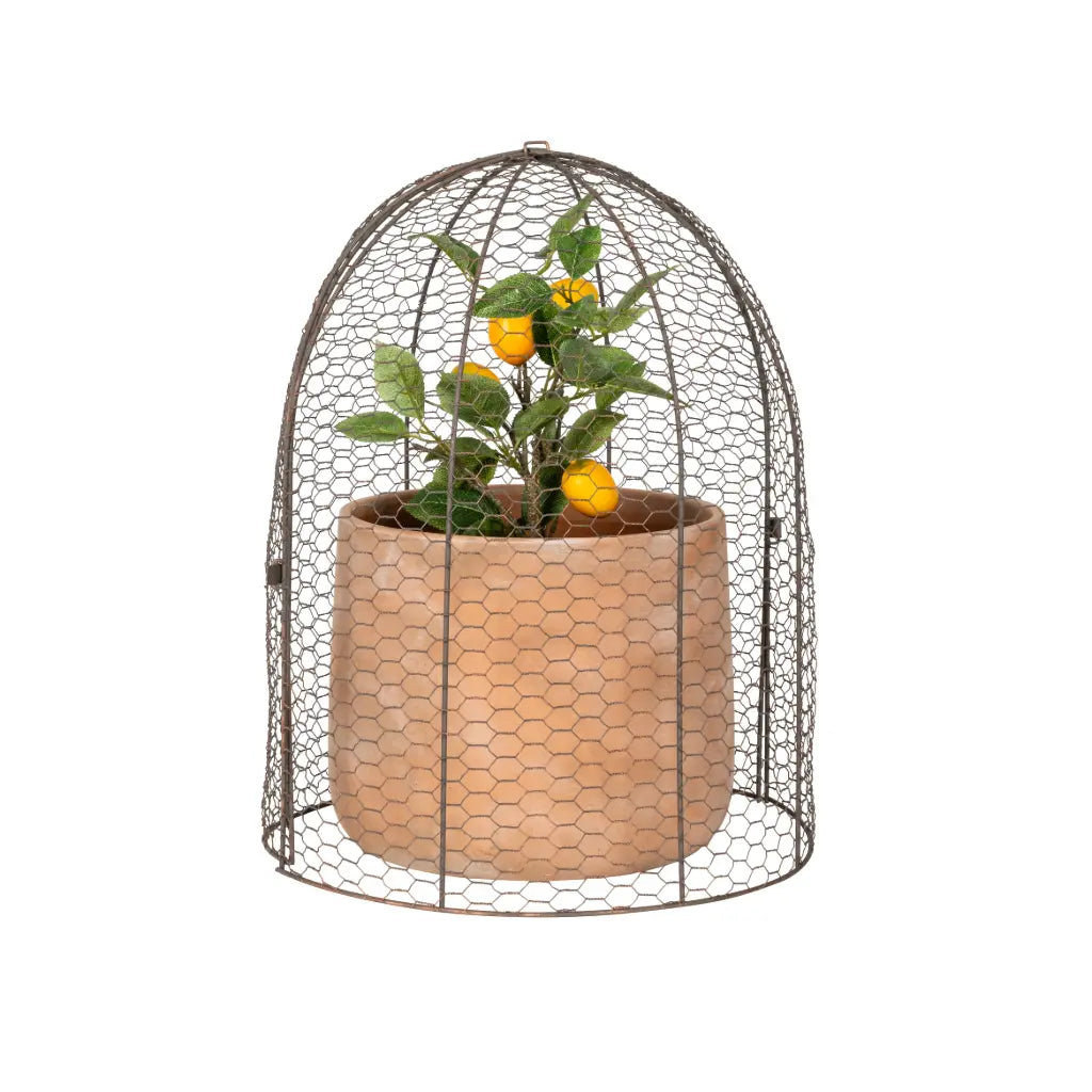 Large Cloche Dome