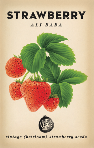 Little Veggie Patch Co - Strawberry 'Ali Baba' Heirloom Seeds