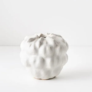 Coastal Coral Propagation Vase