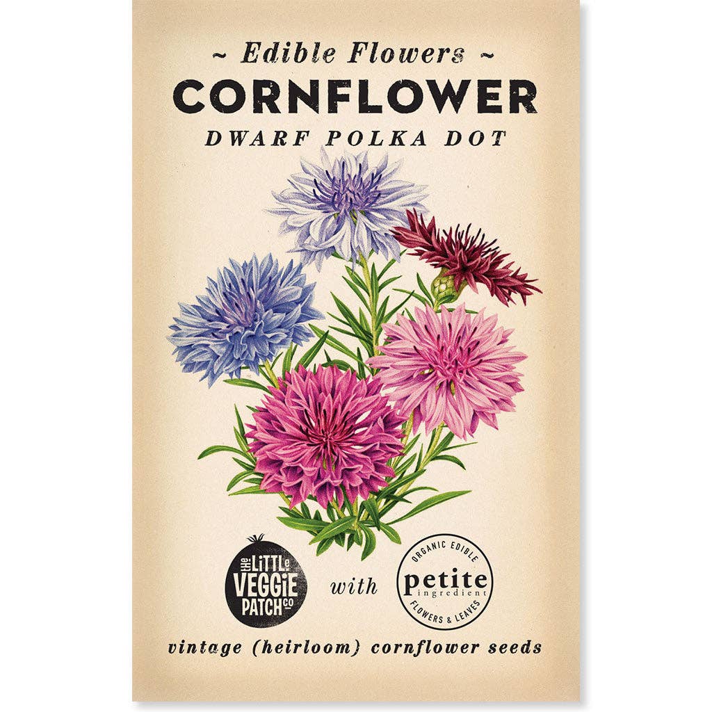 Little Veggie Patch Co - Cornflower "Polka Dot" Heirloom seeds