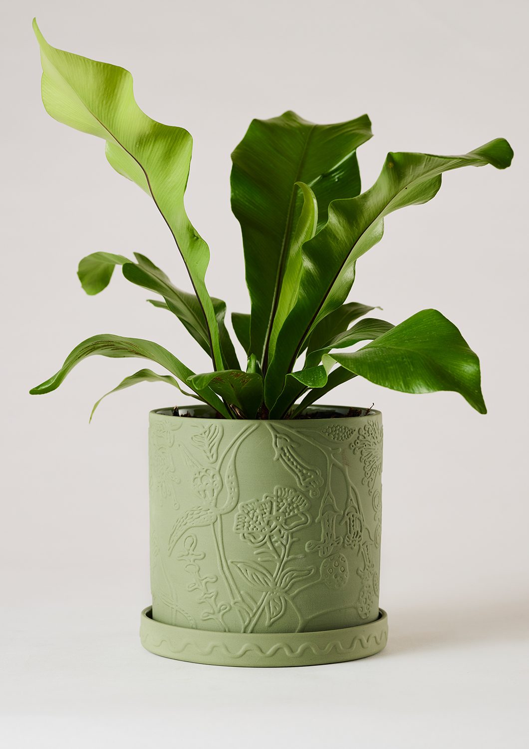 Callista Plant Pot olive - Angus & Celeste