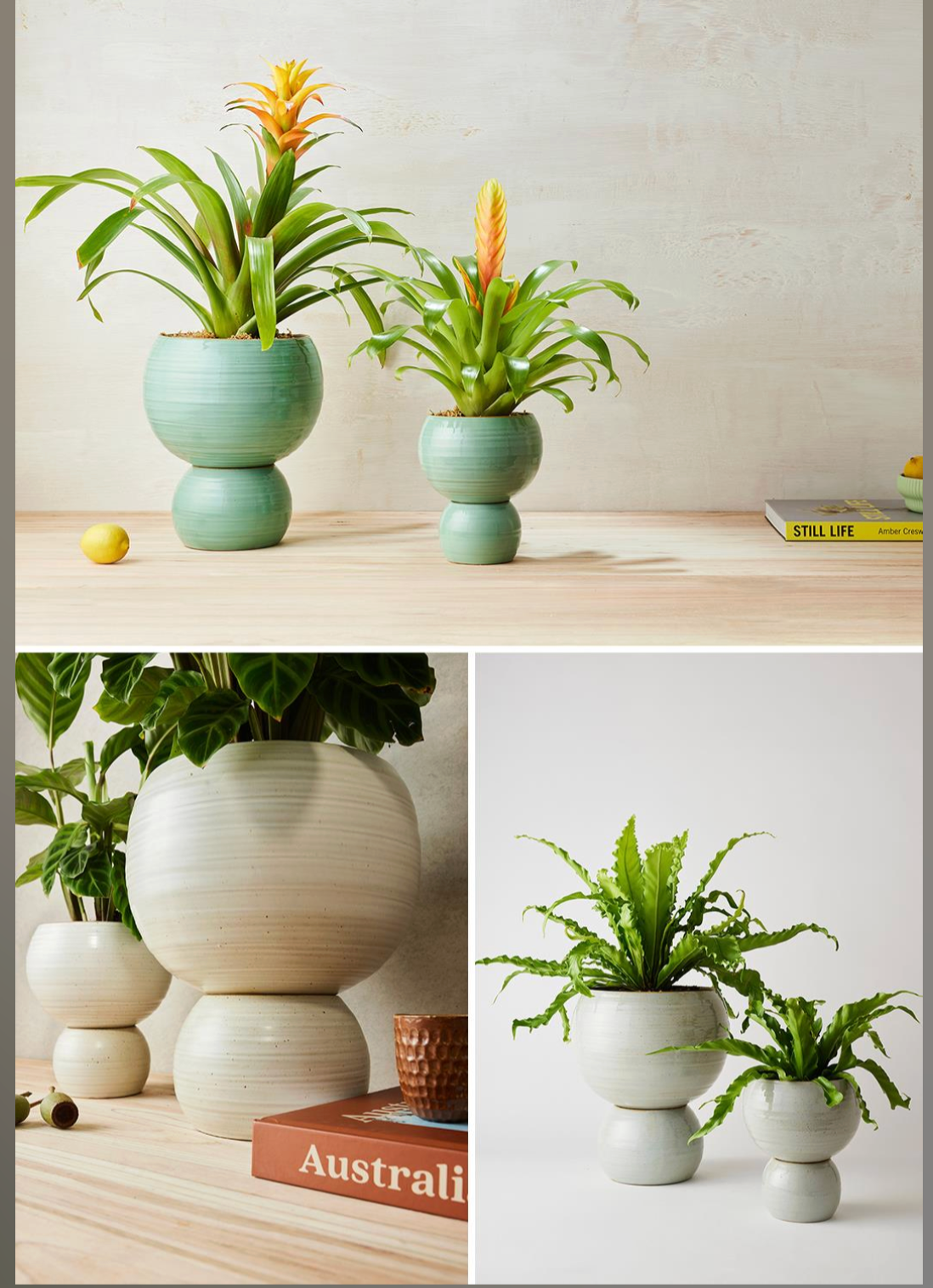 Spherical Plant Pot Small Angus & Celeste