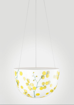 Decorative Hanging pots - Angus & Celeste