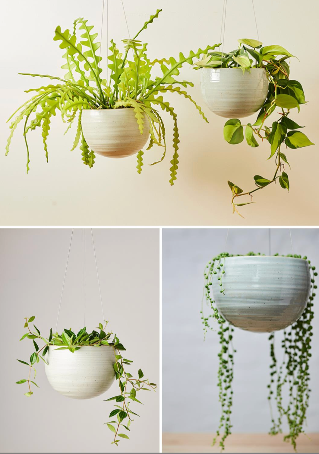 Spherical Hanging Planter  Large- Angus & Celeste