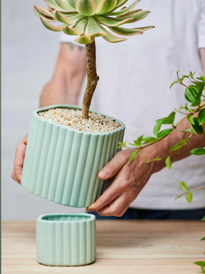Angus & Celeste Modular Stack Pots