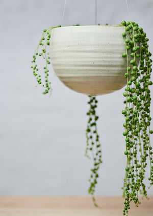 Spherical Hanging Planter  Large- Angus & Celeste