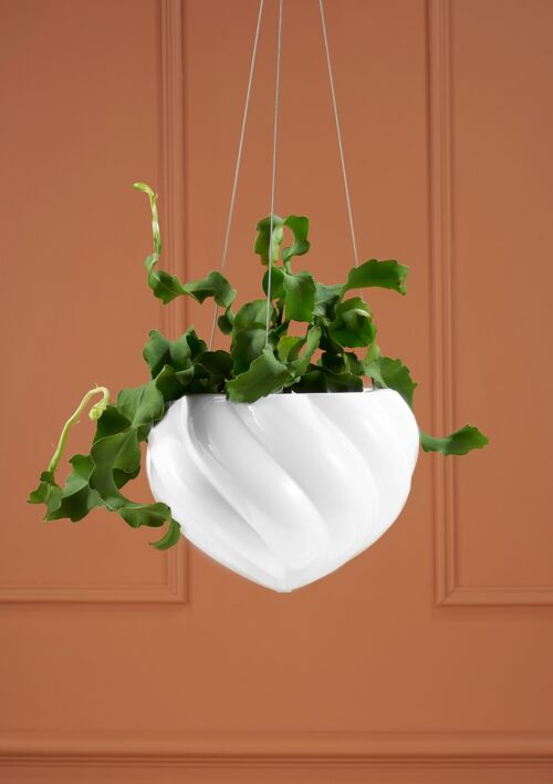 Spiral Hanging Planter - Angus & Celeste