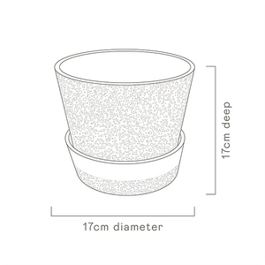 Water Bead Plant Pot