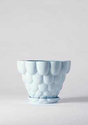 Angus & Celeste Jelly Plant Pot