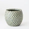 Celadon Pot