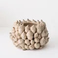 Acorn Pot