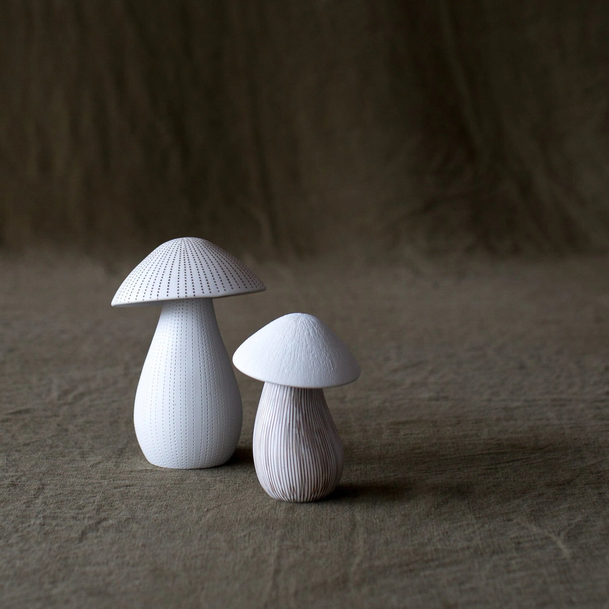 Forest Mushroom