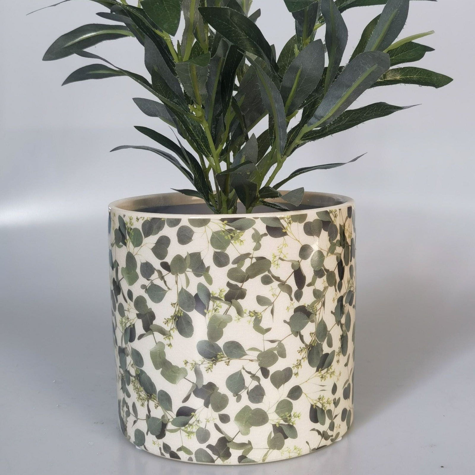 Eucalyptus and flowering Gum Tree Pots