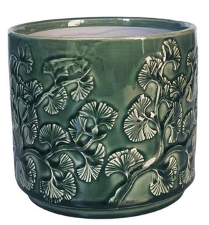 Ginko Bay Pot