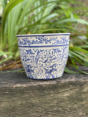 Dutch Blues pot - Artisans Garden Nursery