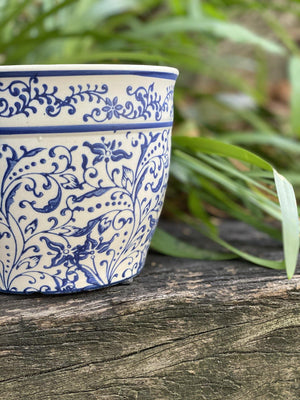 Dutch Blues pot - Artisans Garden Nursery