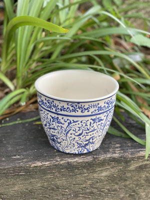 Dutch Blues pot - Artisans Garden Nursery