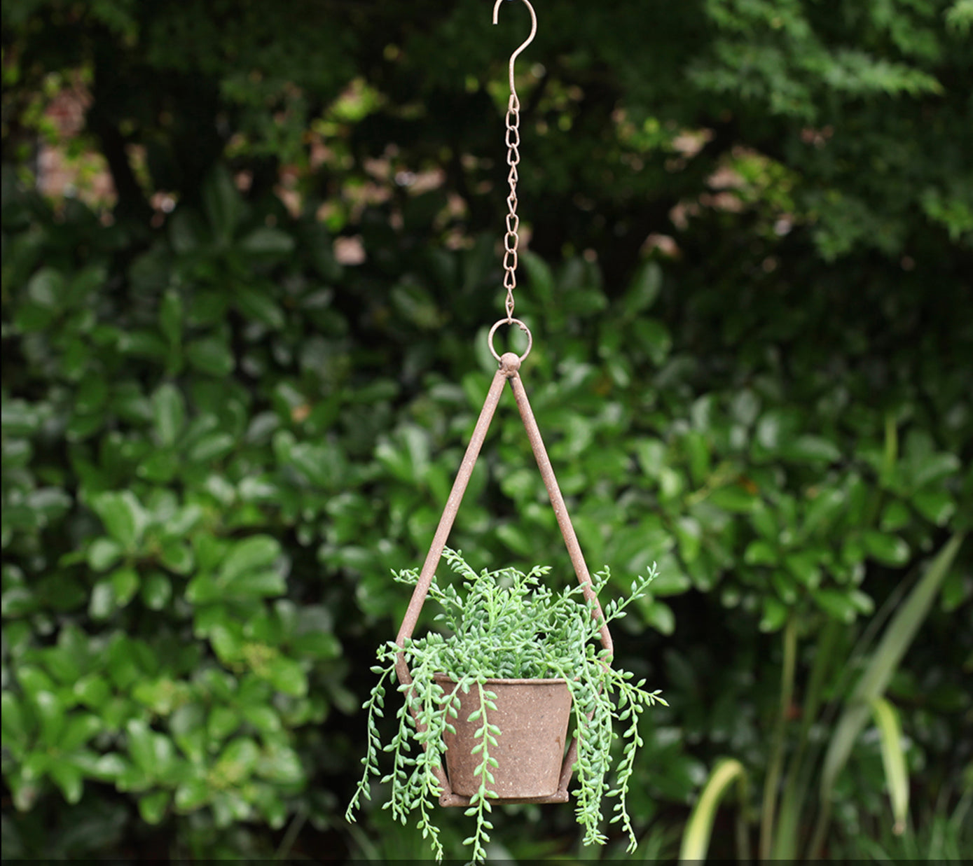 Amazon diamond hanging planter