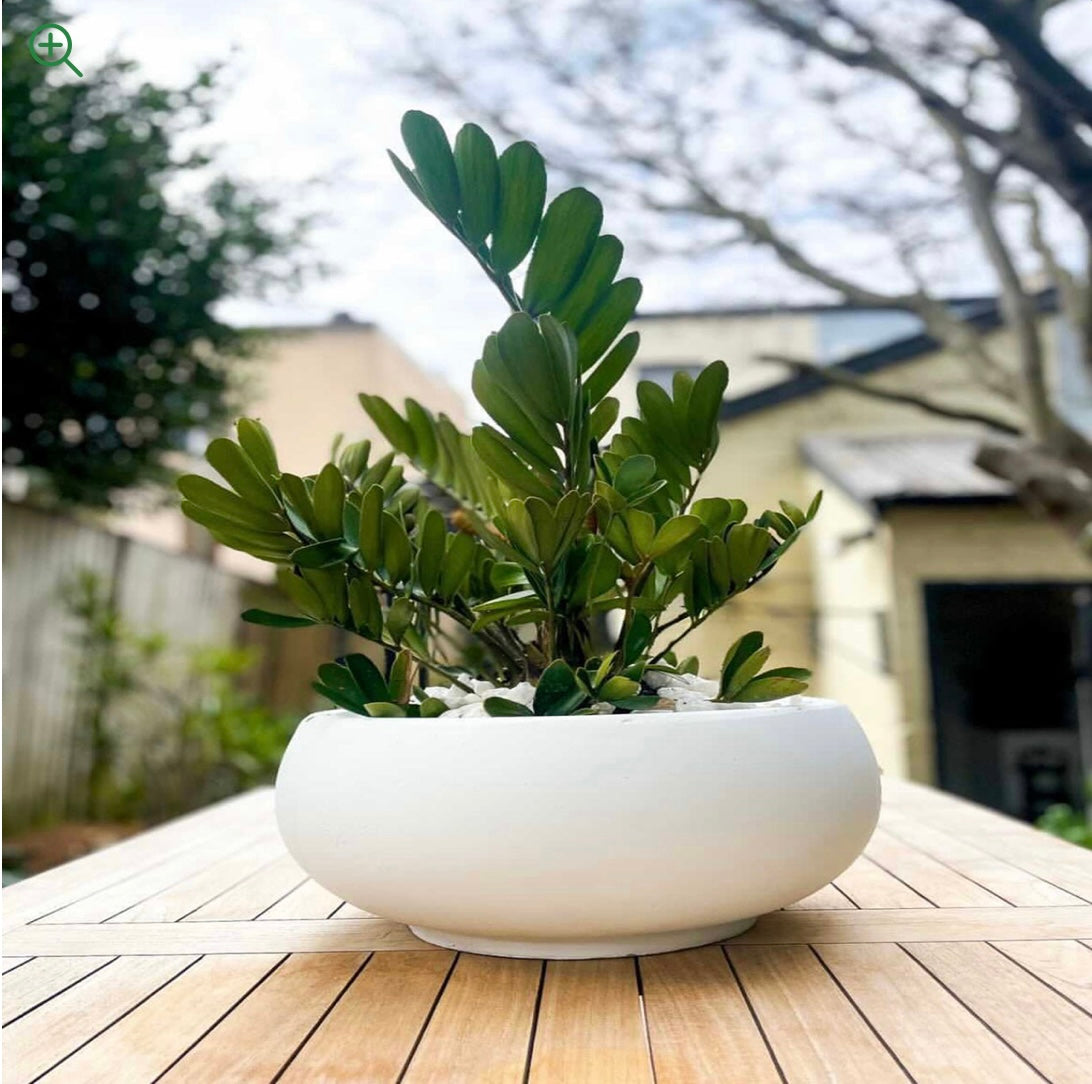 Garden lite bowl