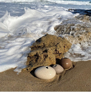 Pebbles plant propagating vessel