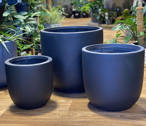 Ostrich egg black pot - That Plant Shop