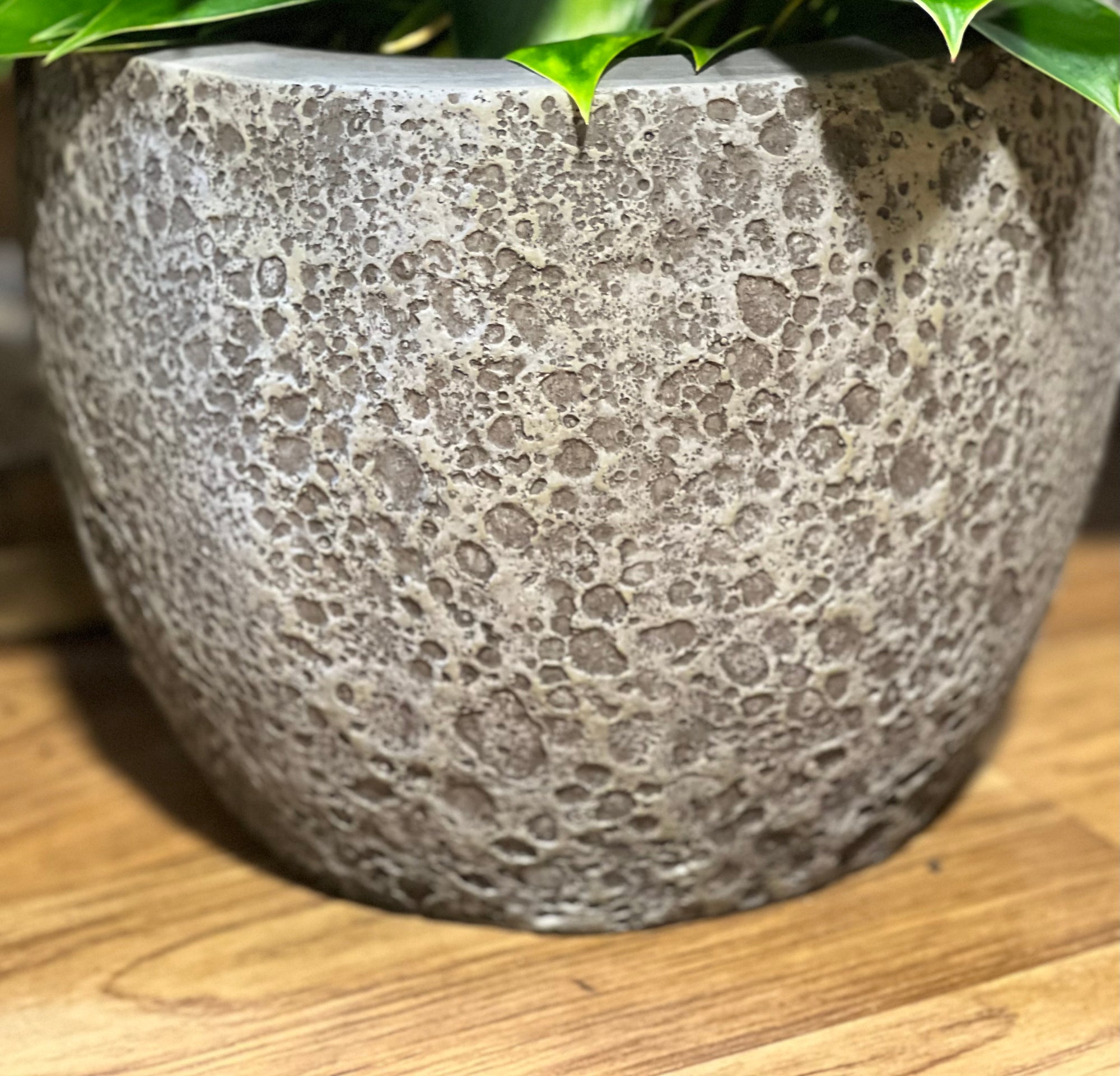 SeaLite Bermuda Pot