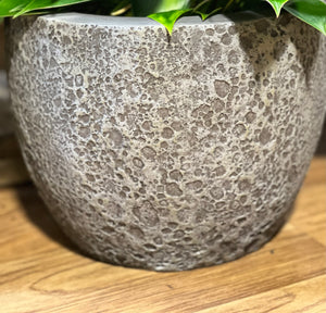 SeaLite Bermuda Pot