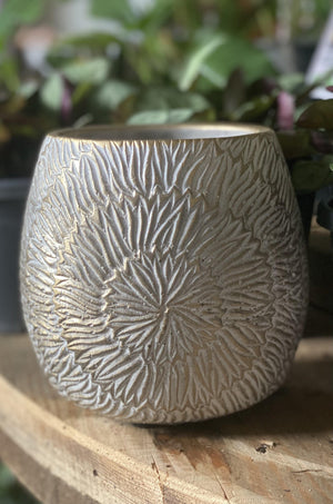 Vienna gold pot - Artisans Garden Nursery