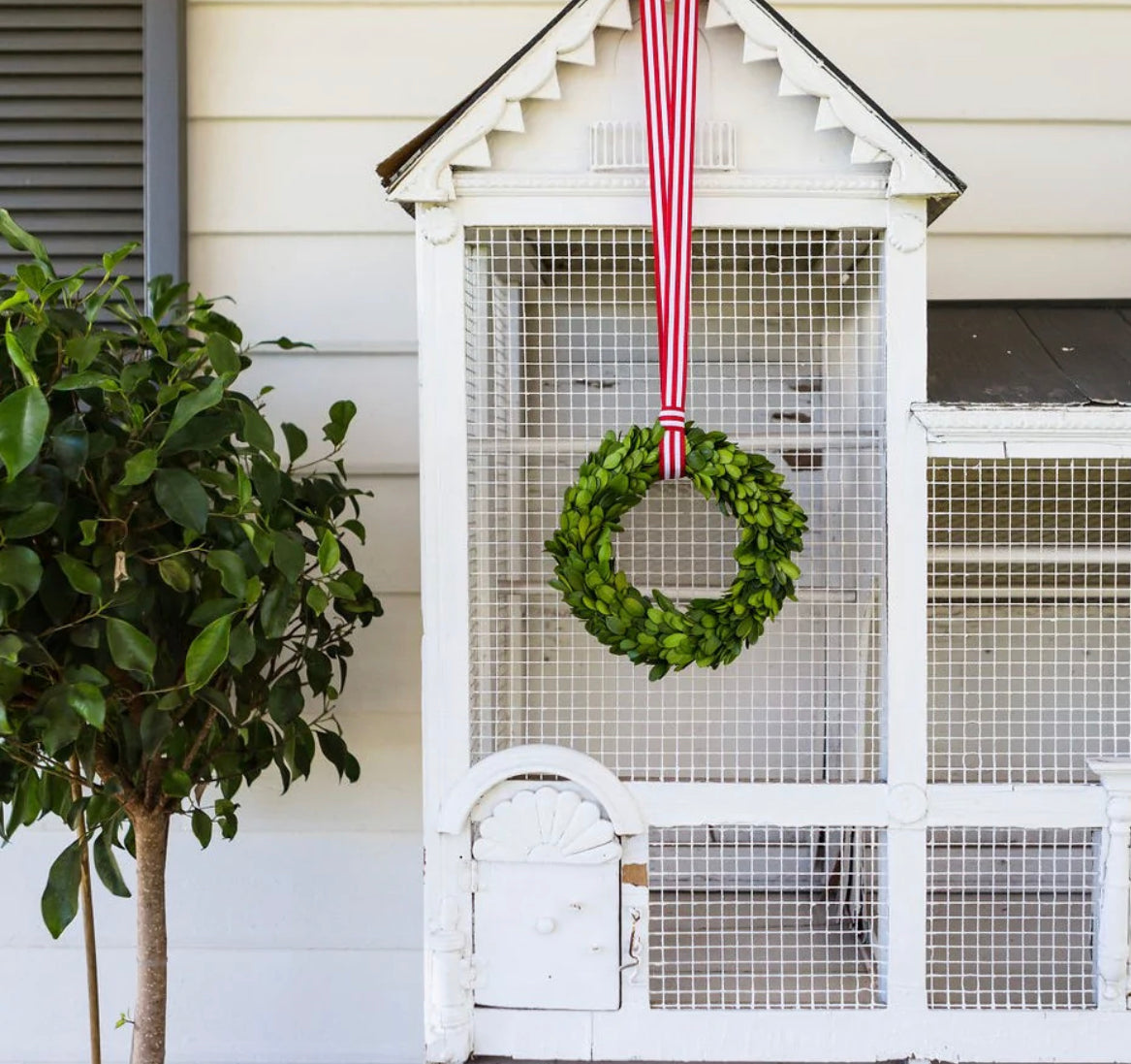 Doors of Berry- Preserved Boxwood Wreaths