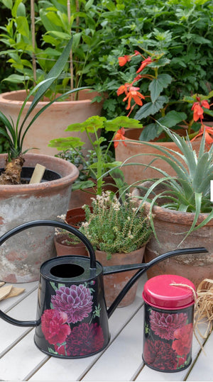 RHS - British bloom watering can