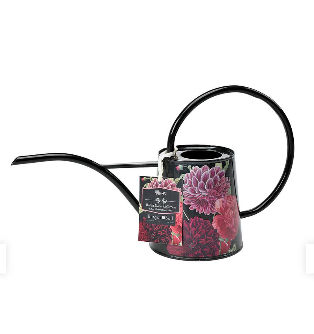 RHS - British bloom watering can