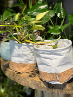 Eco bag planters