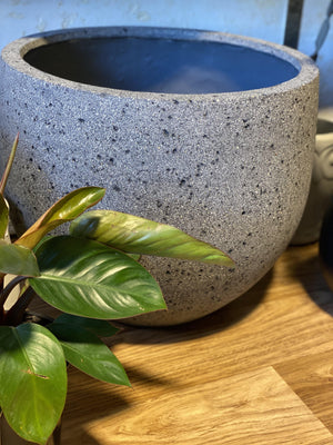 Urban Planters Volcanic Grey - That Plant Shop