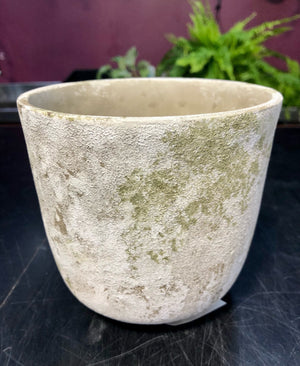 Moss Island egg pot