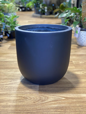 Ostrich egg black pot - That Plant Shop