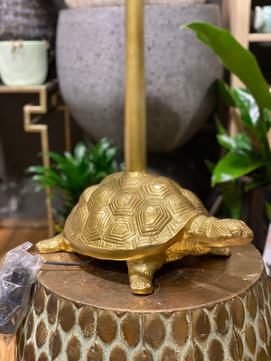 Toby Tortoise lamp base