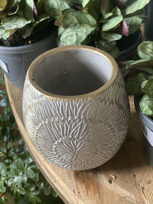 Vienna gold pot - Artisans Garden Nursery